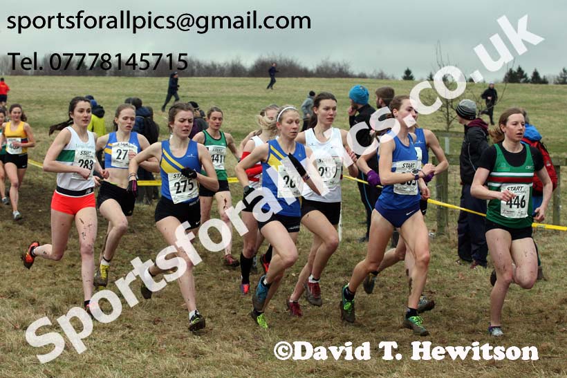 Senior women, 2018 Northern Cross Country Champs., Harewood House, Leeds. Photo: David T. Hewitson/Sports for All Pics